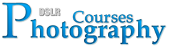 DSLR Photography Courses London - logo