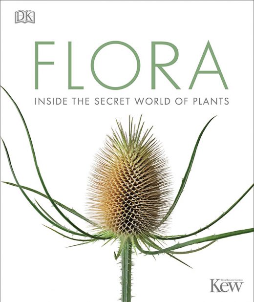 Flora: Inside the Secret World of Plants