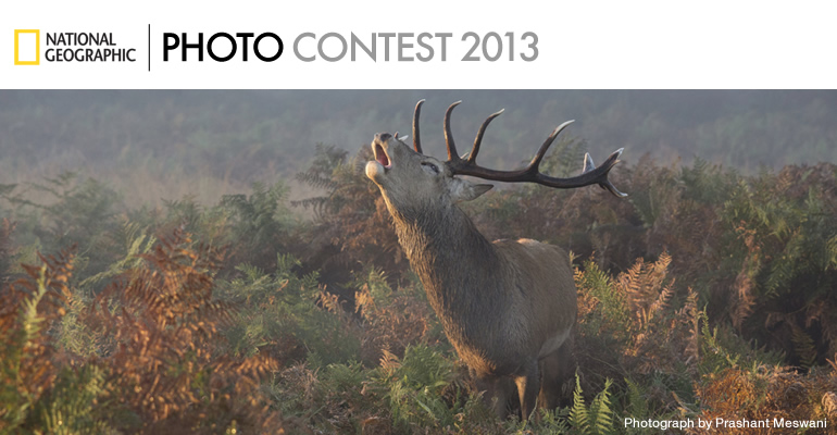 National Geographic Photography Contest 2013