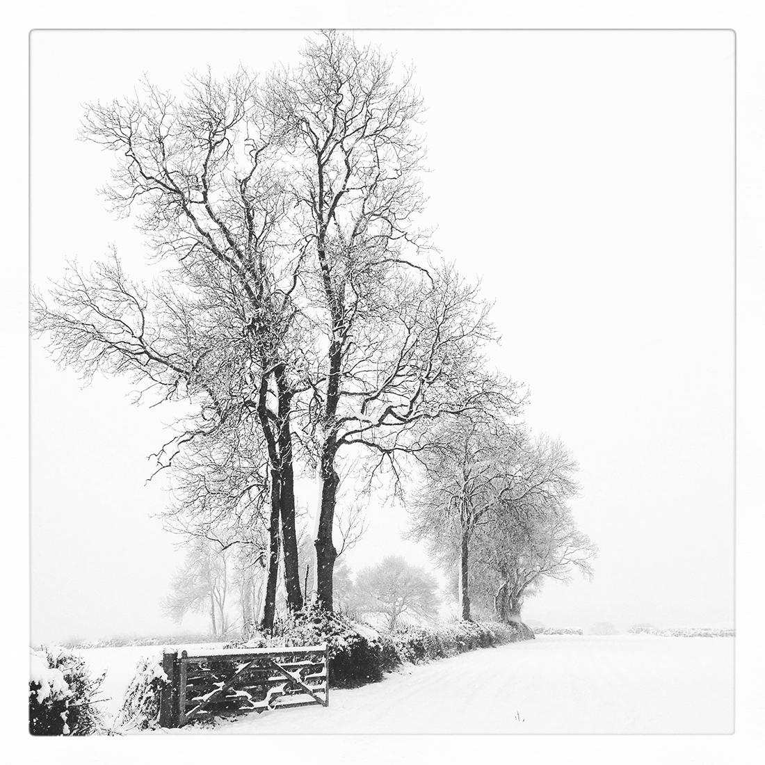 Ros Gomersall winning image for the Feeling of Winter photography competition