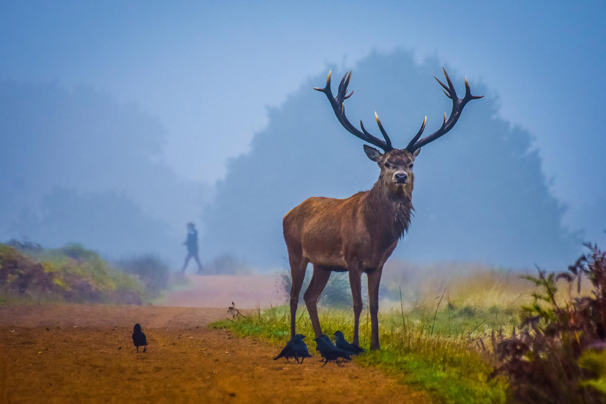 CLOSE TO NATURE – Photography Competition Winners Announced