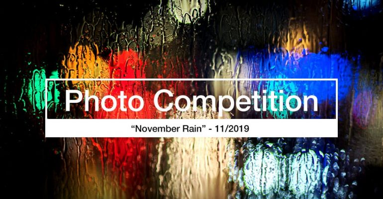 November rain photography competition 2019
