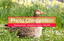 Springtime & Nature photo competition results Maty 2022