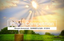 Photo Competition Banner Winners