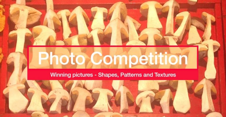 Photography competition - winning pictures for shapes and patterns