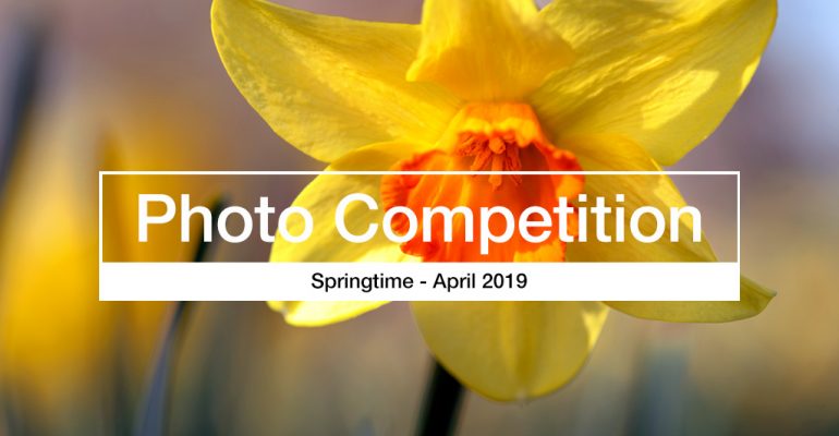 Springtime photography competition