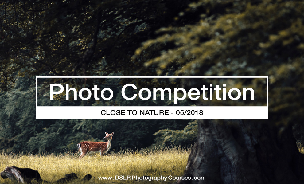 Close to Nature – Photography Competition May 2018