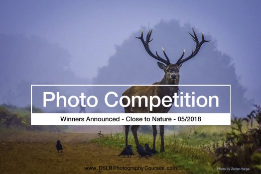 Close to Nature - photo competition winners