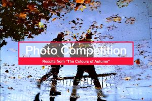 the colours of autumn photography competition