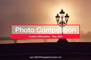 creative silhouettes - photography competition May 2023