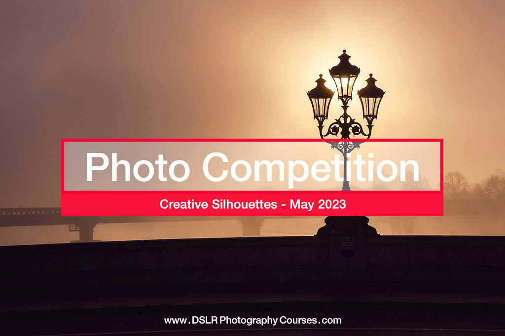 creative silhouettes - photography competition May 2023 - DSLR ...