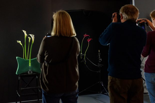 flower-photography-Polina-Plotnikova-course-03