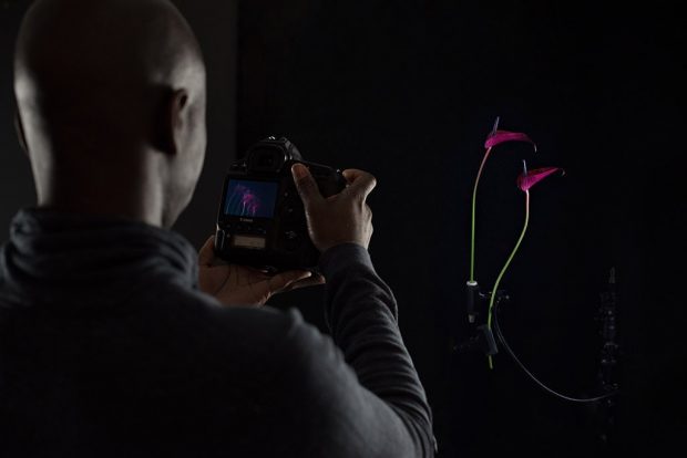 flower-photography-Polina-Plotnikova-course-04