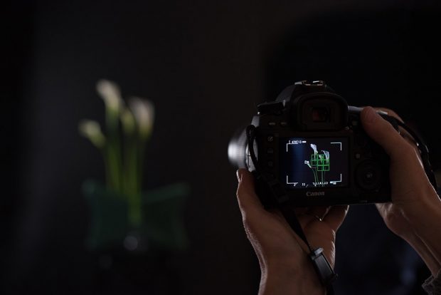 London creative flower photography workshop with Polina Plotnikova London creative flower photography workshop with Polina Plotnikova