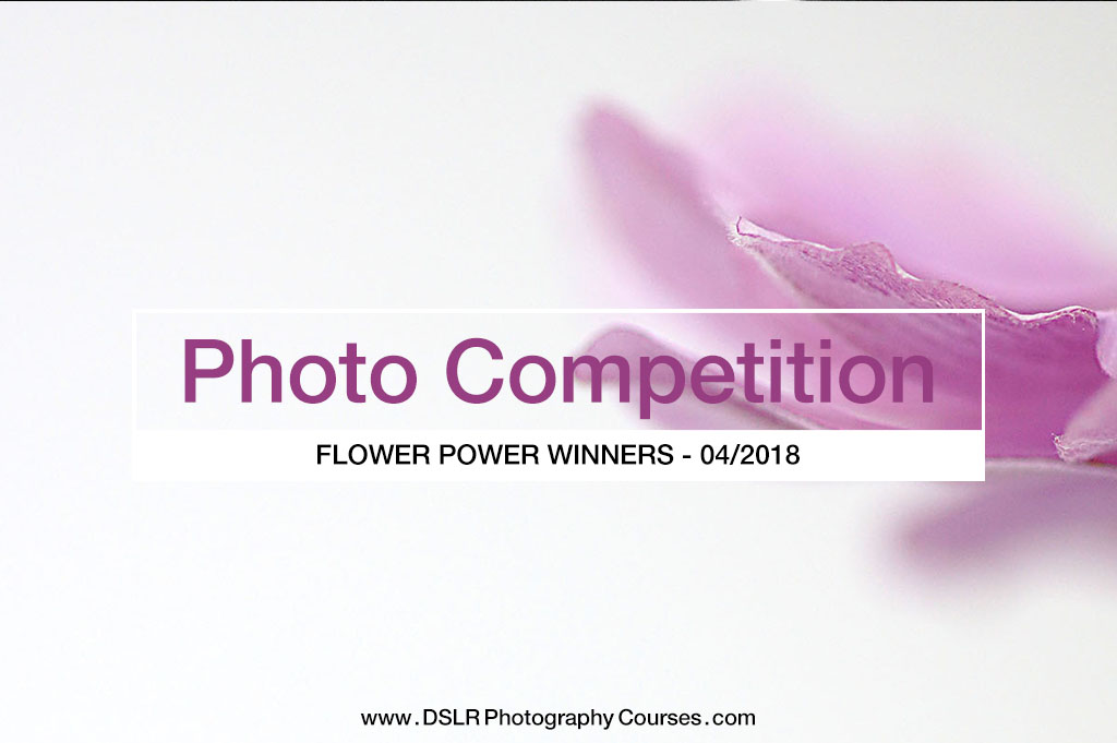 FLOWER POWER – Photography Competition Winners Announced