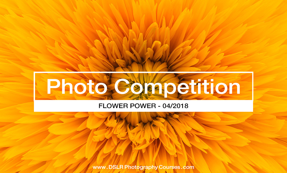 Flower Power – Photography Competition April 2018