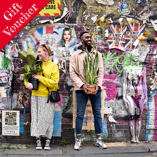 gift voucher for London street photography course