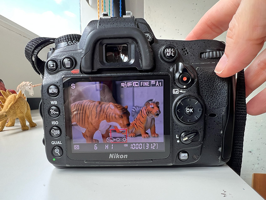 intensive beginners photography course focusing practice