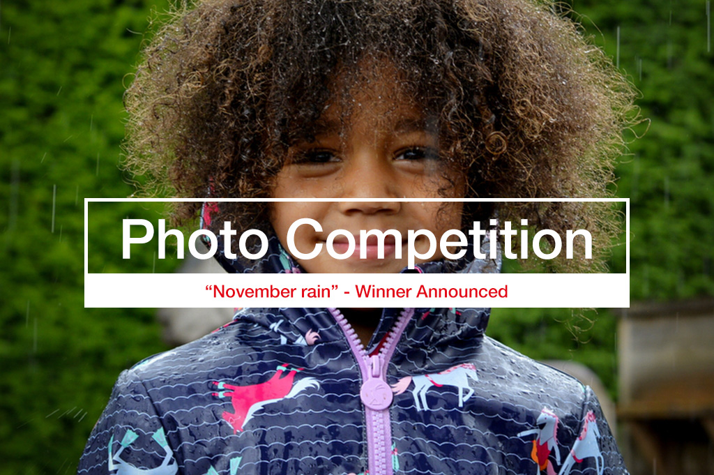 November Rain Photography Competition Winner – 2019/11
