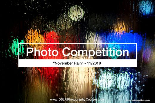 November rain photography competition 2019