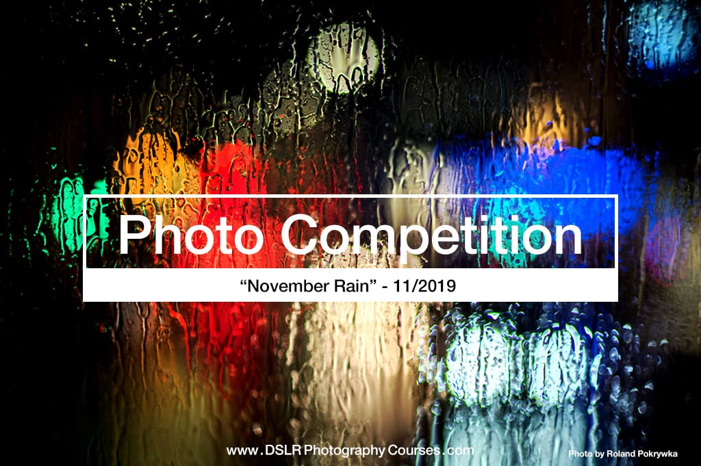 November Rain – Photography Competition November 2019