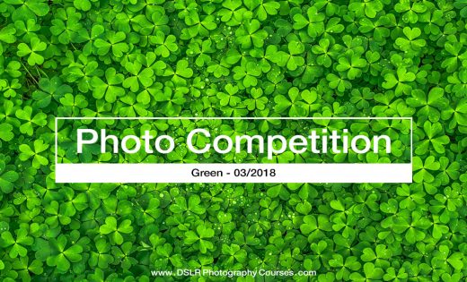 photography competition GREEN 2018 March