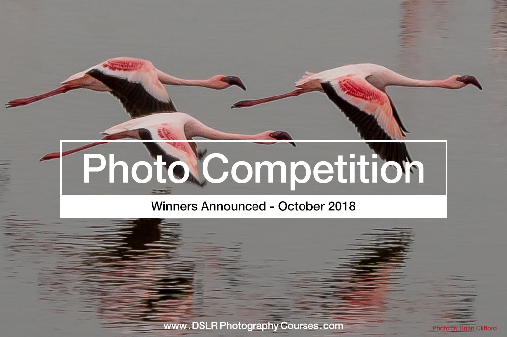 Rain and Water Reflections Photography Competition Winners