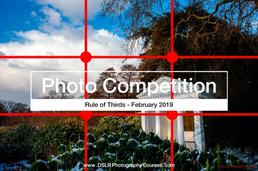 Rule of Thirds photography competition 2019 02