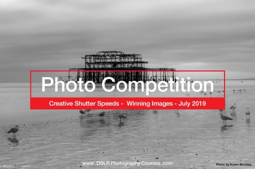 photo competition 2019 July winners
