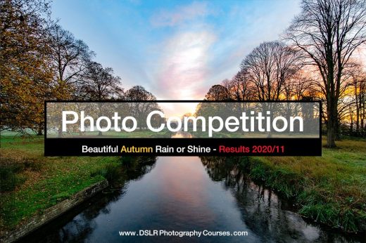Autumn photography competition results banner