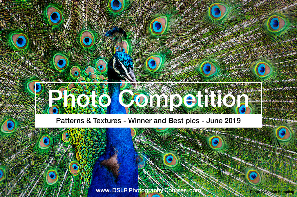 Patterns & Textures Photography Competition Winners 2019 06