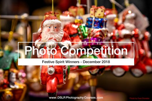Festive Spirit photography competition winners
