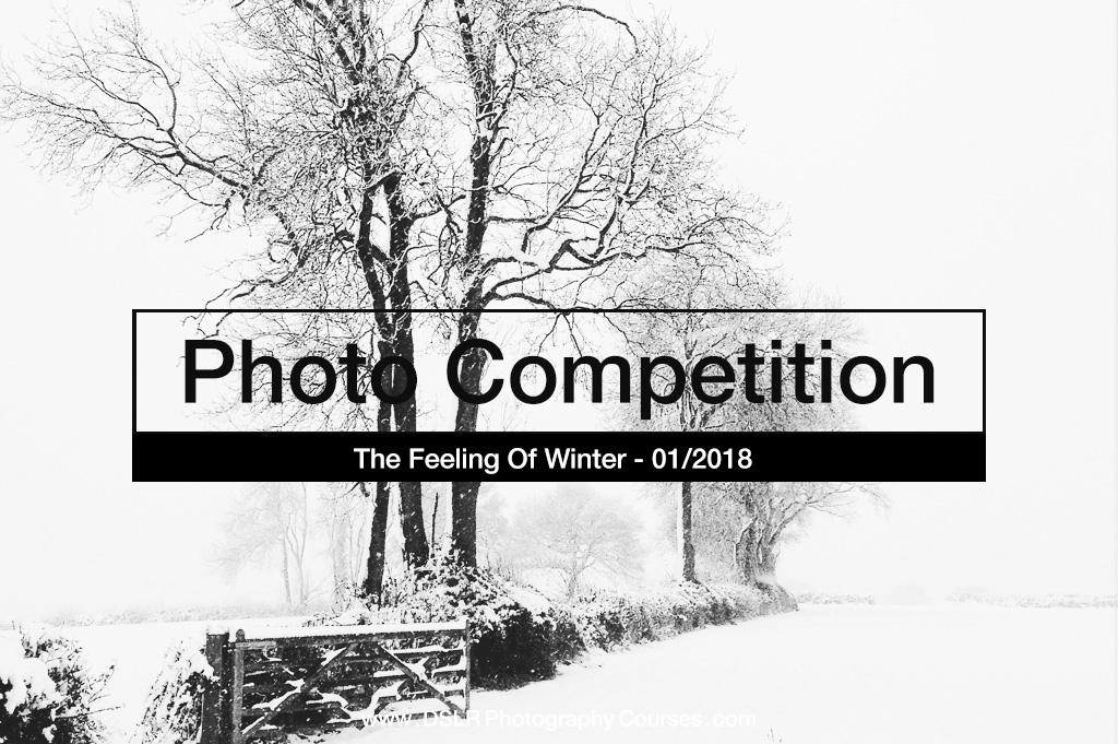 Winter Photography Competition Winners Announced
