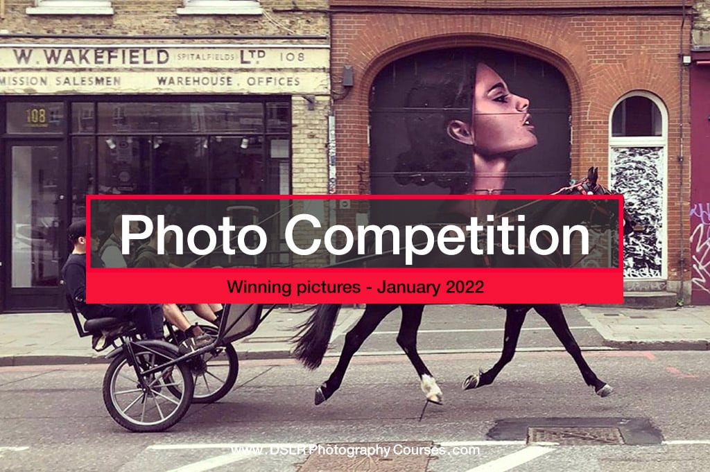 Photo Competition results – January 2022