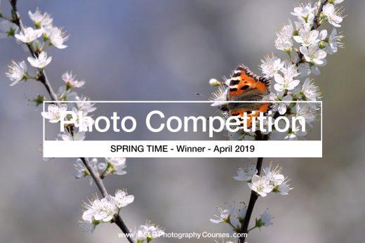 Christopher Mayhew - photography competition winner 2019 04