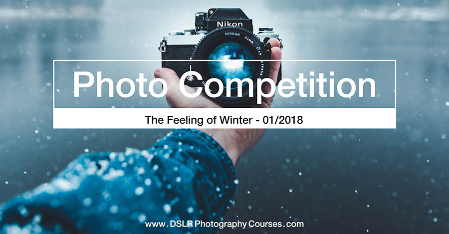 The Feeling Of Winter – Photography Competition January 2018