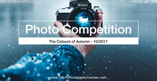 photography competition winter