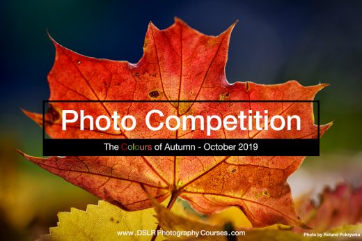 photography competition October 2019 - The Colours of Autumn