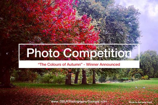 photography competition 2019 10 winner