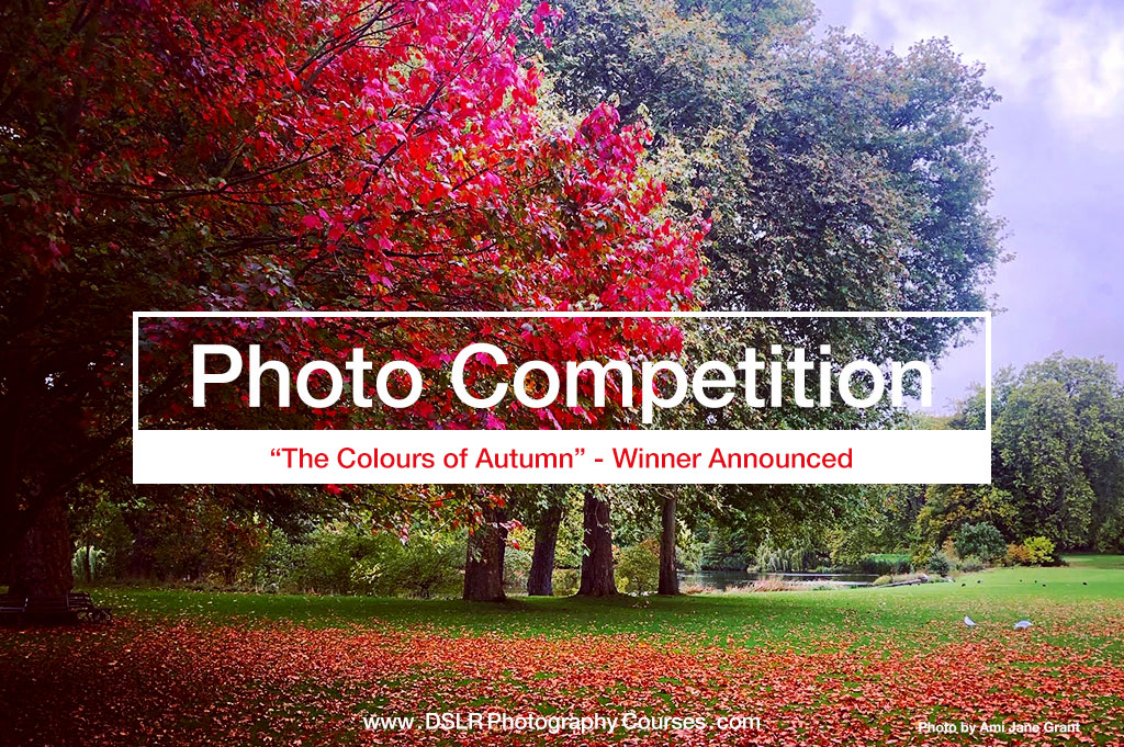 The Colours of Autumn Photography Competition Winner – October 2019