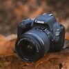 photography course for Canon EOS 200d and 250d cameras