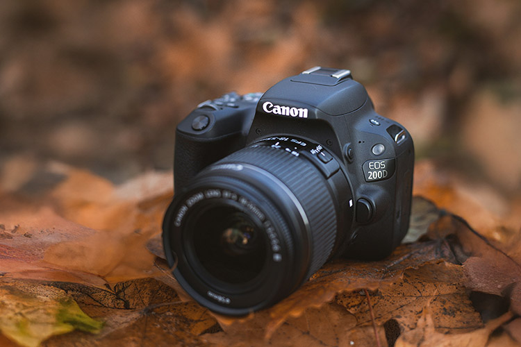 photography course for Canon EOS 200d and 250d cameras
