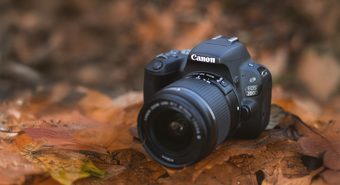 Photography Courses in London for Canon EOS 200D & 250D Owners