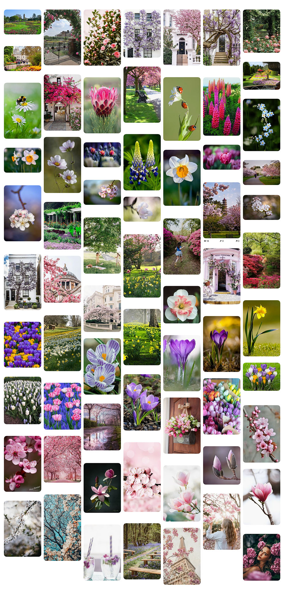 Flower photography on Pinterest