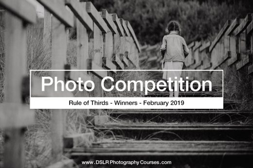 rule of thirds photography competition winner