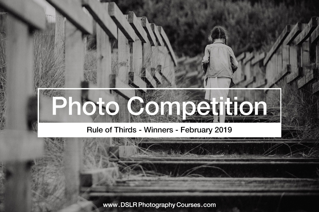 Rule of Thirds Photography Competition Winners