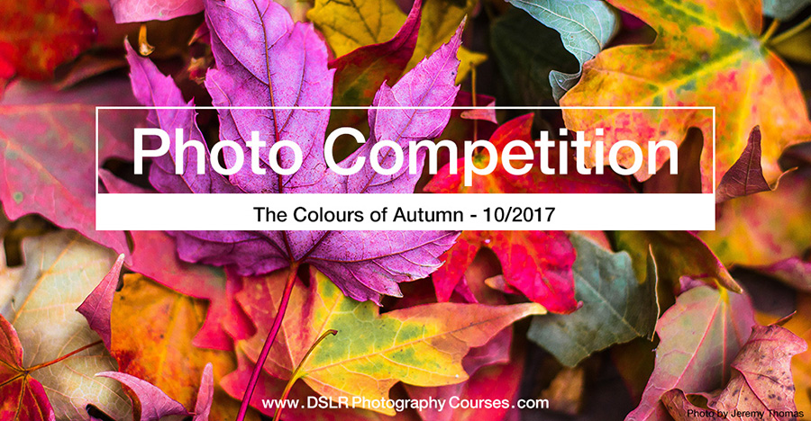 The Colours of Autumn Photography Competition October 2017