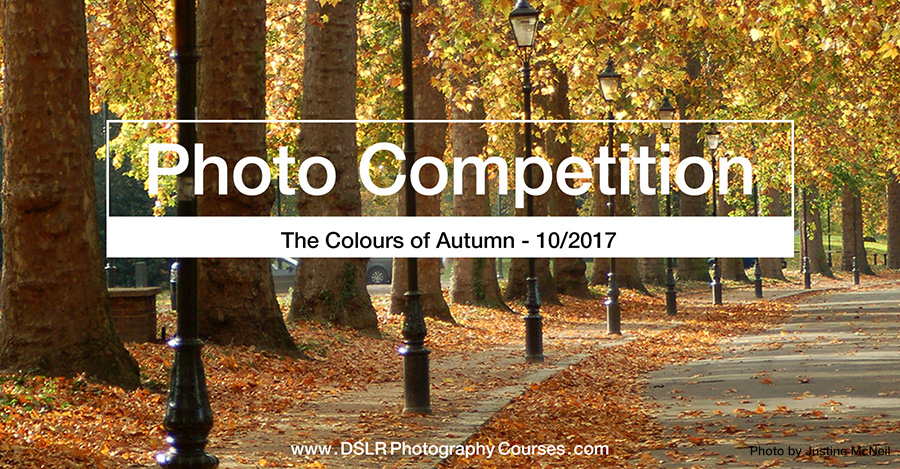 The Colours of Autumn Photography Competition Winners Announced