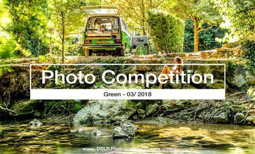 winner green photography competition