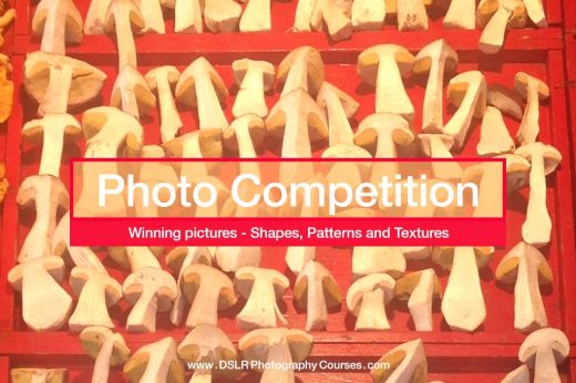 Photography competition - winning pictures for shapes and patterns